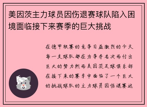 美因茨主力球员因伤退赛球队陷入困境面临接下来赛季的巨大挑战
