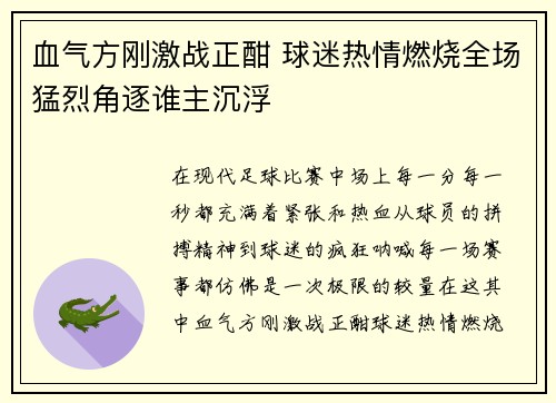 血气方刚激战正酣 球迷热情燃烧全场猛烈角逐谁主沉浮